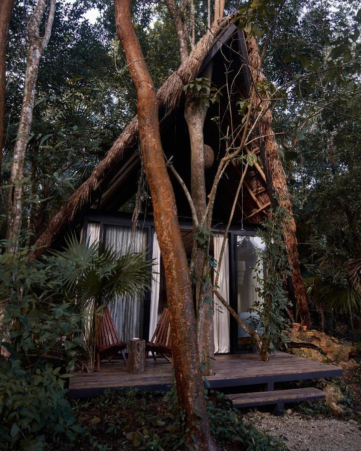 Kapok Bacalar - Plant Based Hotel Buenavista  Exterior photo